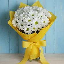Букет цветов из:  Хризантемы в Гидроторфе