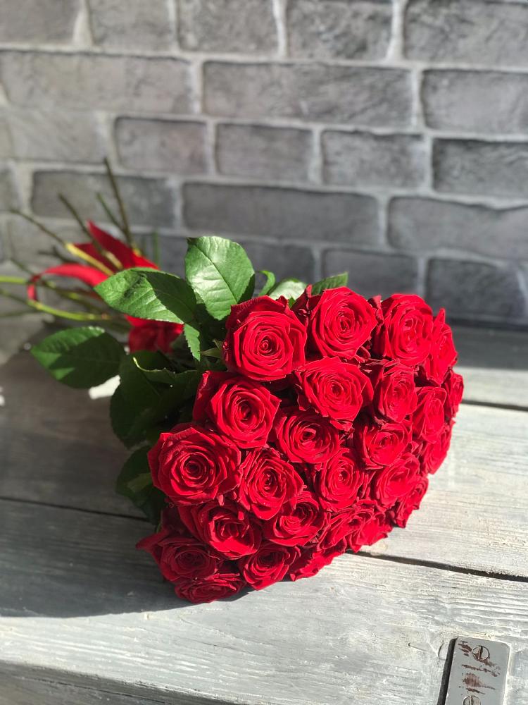 Букет Красные розы Фридом в Гидроторфе