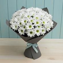 Букет цветов из:  Хризантемы в Гидроторфе