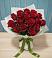 Букет Красные розы в Гидроторфе
