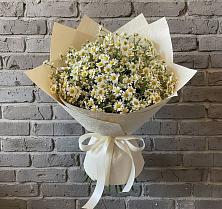 Букет цветов из:  Ромашки #REPLACE_PRED# Гидроторфе