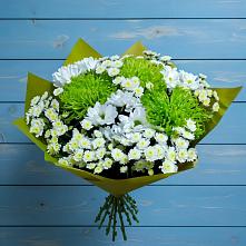 Букет цветов из:  Хризантемы #REPLACE_PRED# Гидроторфе