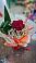 Букет цветов из: Розы в Гидроторфе