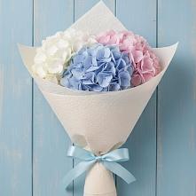 Букет цветов из:  Гортензия #REPLACE_PRED# Гидроторфе