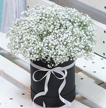 Цветочная композиция из Гипсофила в шляпной коробке #REPLACE_PRED# Гидроторфе