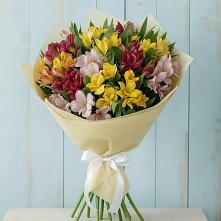 Букет цветов из:  Альстромерии в Гидроторфе