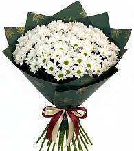 Букет цветов из:  Хризантемы в Гидроторфе