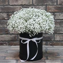 Цветочная композиция из Гипсофила в шляпной коробке в Гидроторфе