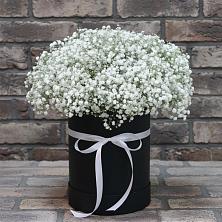 Цветочная композиция из Гипсофила в шляпной коробке в Гидроторфе