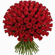 Букет Красные розы Чери Лав в Гидроторфе