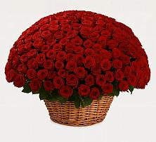 Премиум букет из: Розы в Гидроторфе