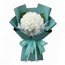 Букет цветов из:  Гортензия в Гидроторфе